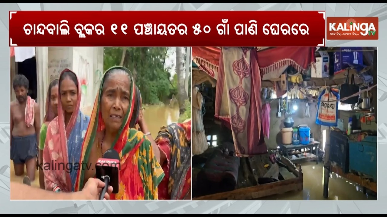 Flood-Hit Bhadrak: Suffering Mounts as Ground Zero Report Captures Residents&rsquo; Distress | Kalinga TV
