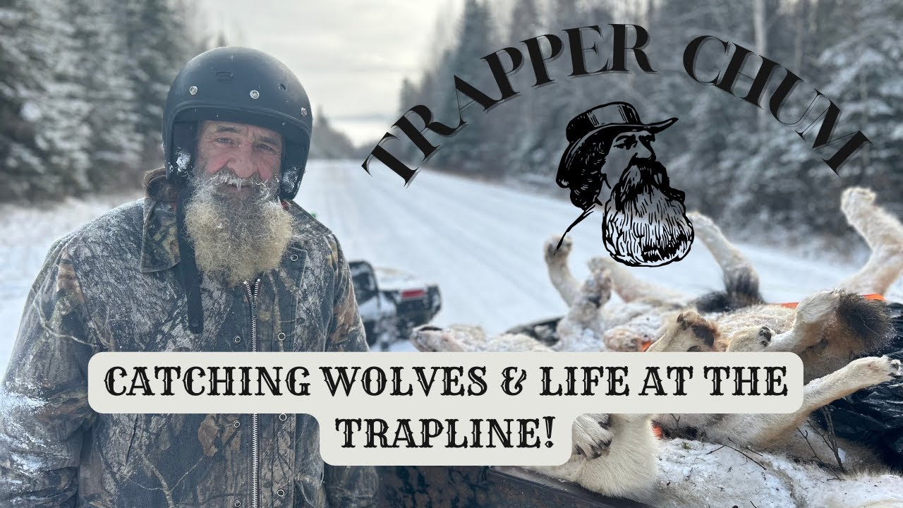 Wolves and Life at the Trapline || Trapper Chum