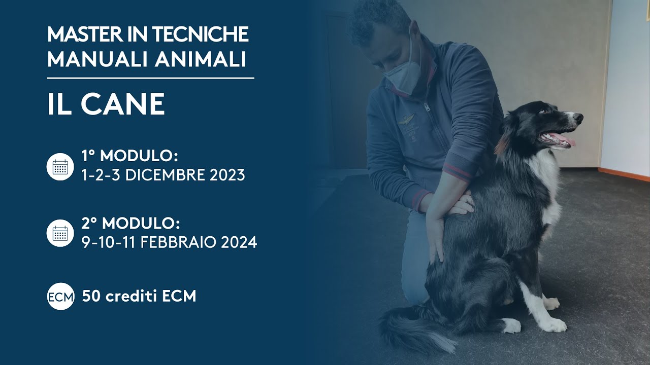 TECNICHE MANUALI SULL'ANIMALE: IL CANE - WEBINAR DI PRESENTAZIONE DEL MASTER