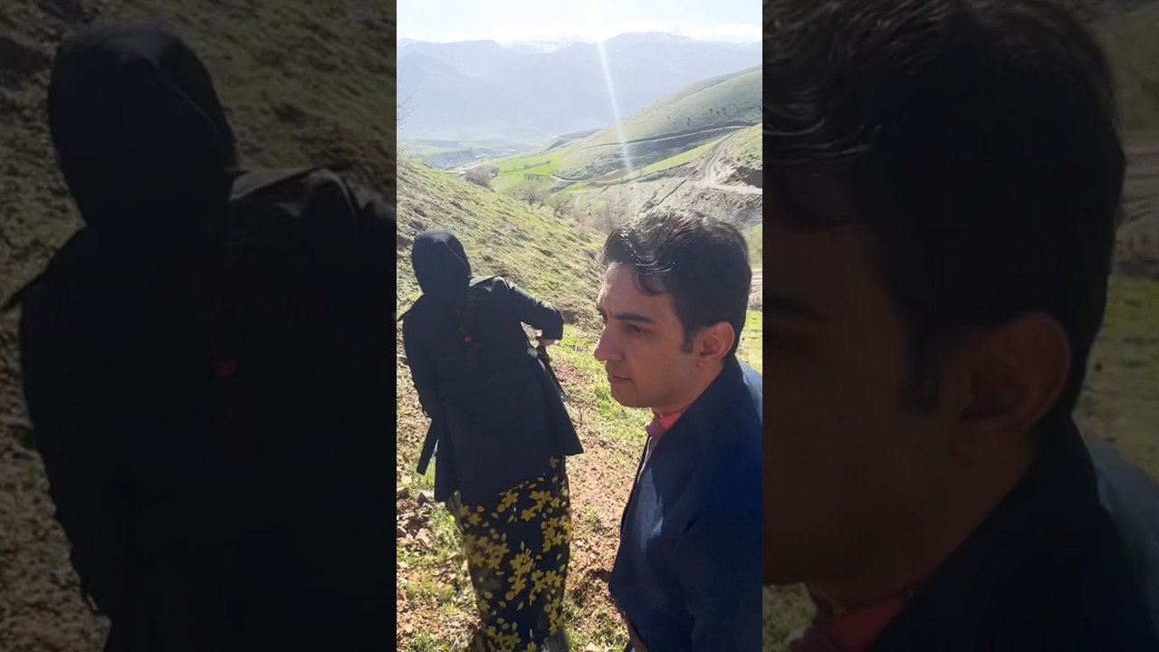 Harvesting medicinal plants from the mountain #shorts