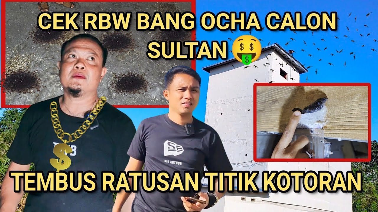 LUAR BIASAA‼️CEK RBW BANG OCHA, CALON SULTAN. TEMBUS RATUSAN TITIK KOTORAN!! 😍