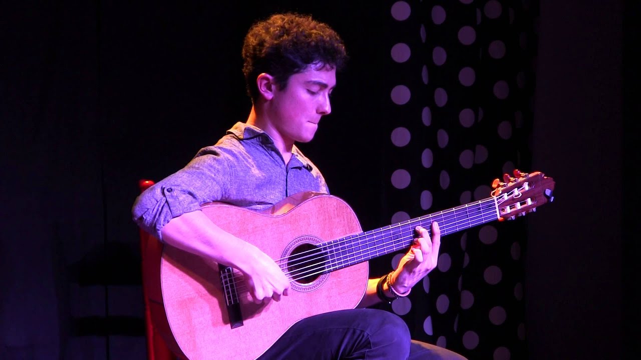 Anoush Saadat Flamenco