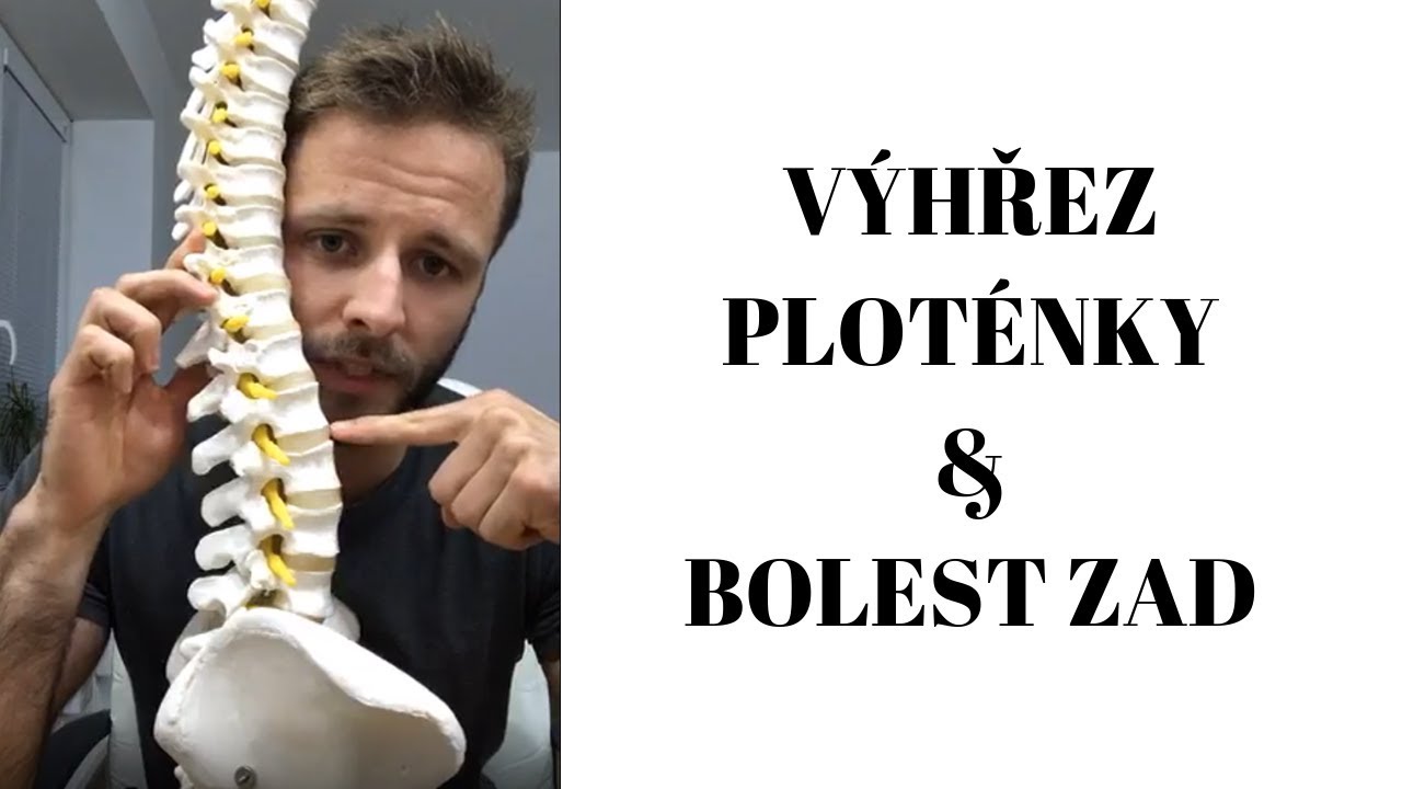 VÝHŘEZ PLOTÉNKY A BOLEST ZAD