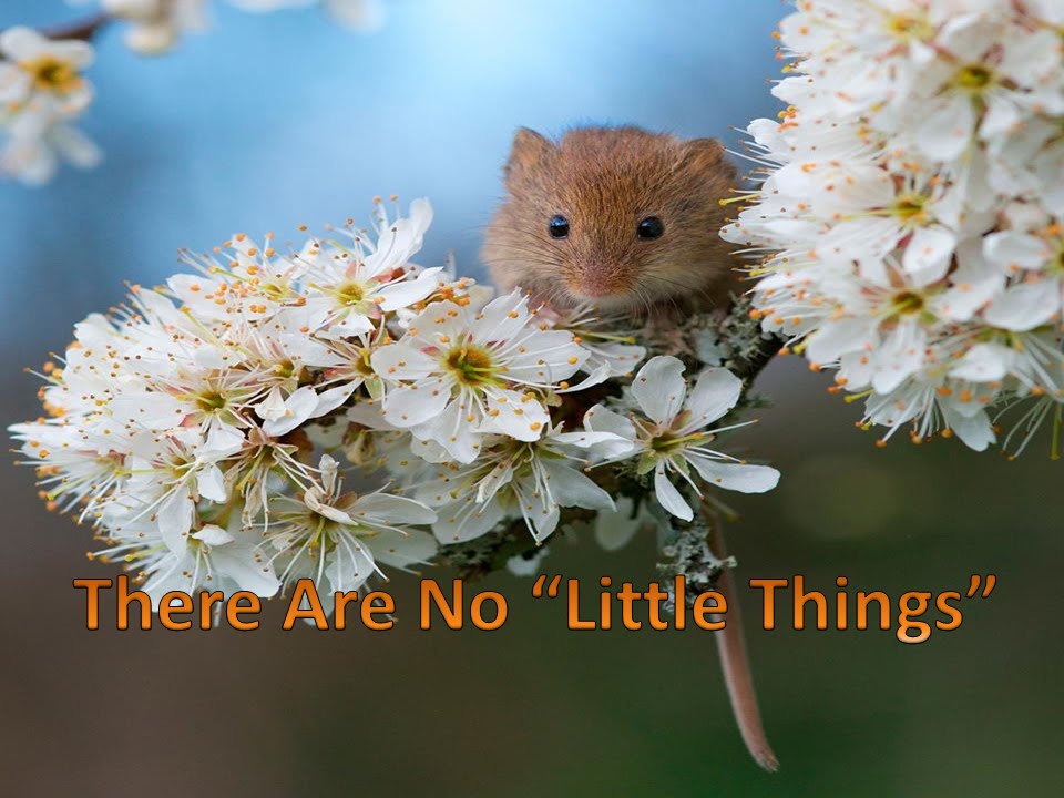 There Are No Little Things | Importance of Relationships