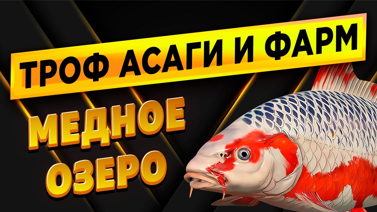 ТРОФЕЙ КОИ АСАГИ И БОМБОВЫЙ ФАРМ ПРОДОЛЖАЕТСЯ НА МЕДНОМ ОЗЕРЕ! • Русская Рыбалка 4 РР4