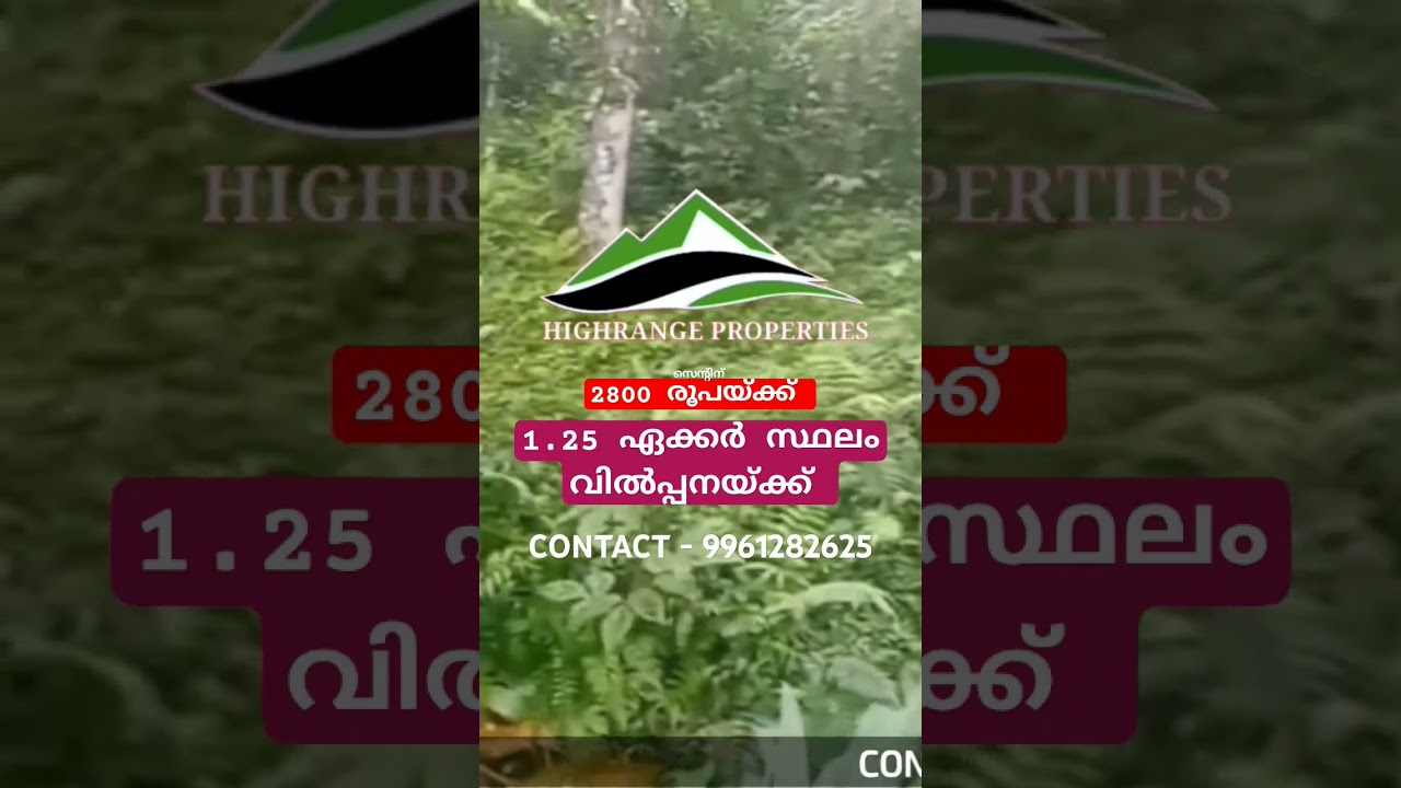 ചെറിയ വിലയിൽ 1.25 ഏക്കർ #highrangeproperties #realestate #landforsale #idukki