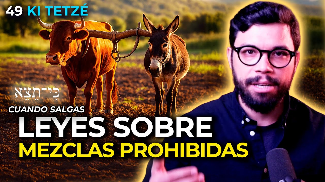 LEYES SOBRE MEZCLAS PROHIBIDAS  | #49 KI TETZÉ (CUANDO SALGAS)