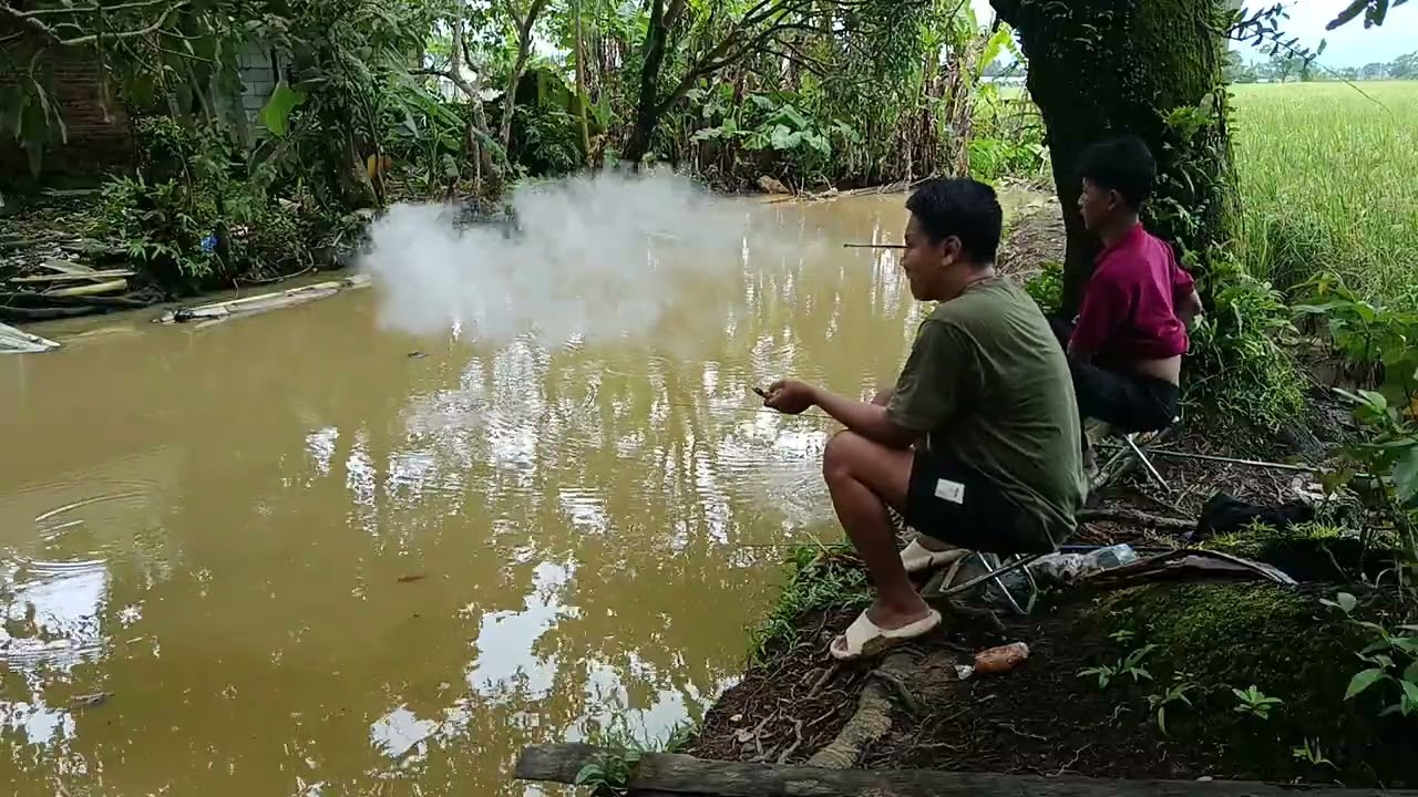 Pantesan ikan gg mau makan balongnya di pake berenang bocil