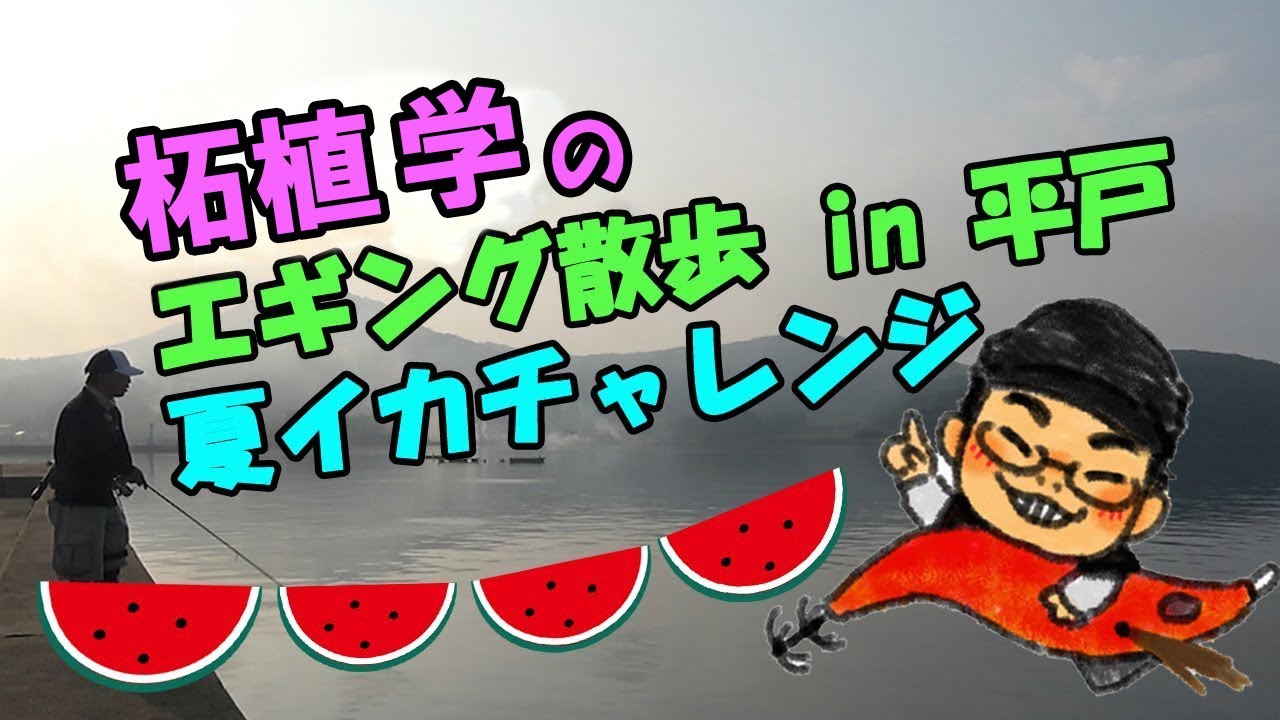 柘植学のエギング散歩 in平戸 夏イカチャレンジ！