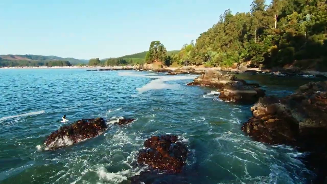 Playa de Colcura Aéreo