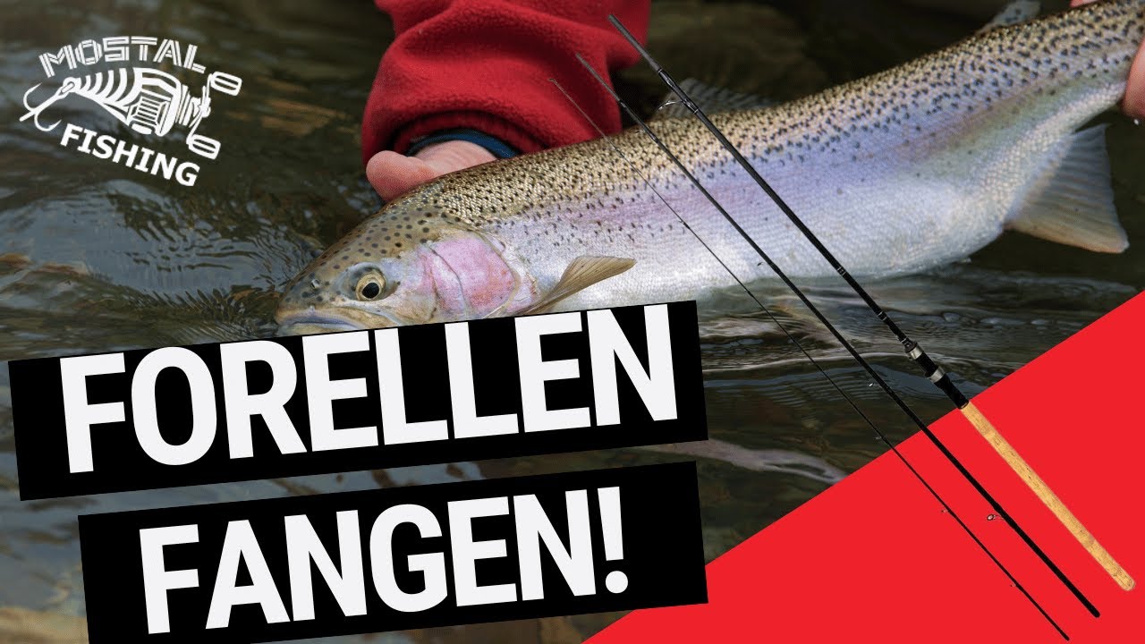 Die perfekte Forellenrute fürs Posenangeln | Mostal Trout Match Angelruten zum Forellenfischen