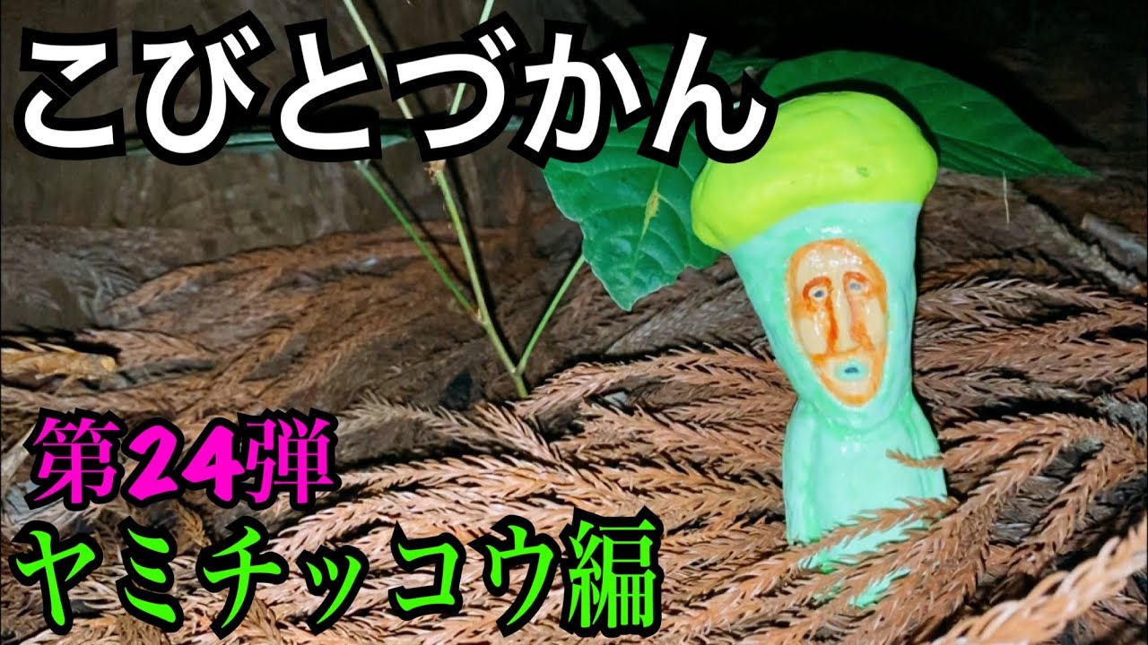 【こびとづかん】ヤミチッコウ見つけるまで帰れま10！！