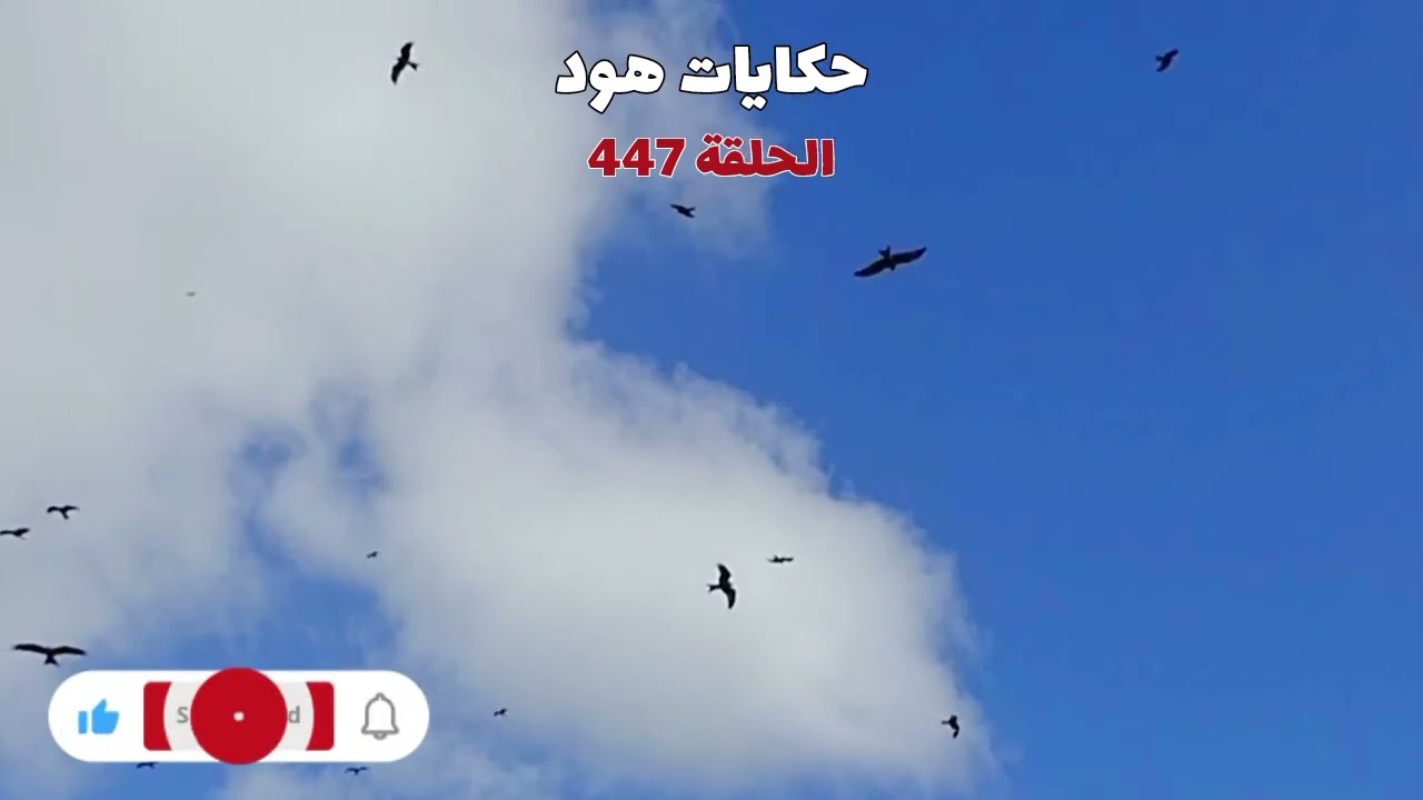 عصا... بات الاتجا..ر في المخذ .را.ت ... قصة مثيرة