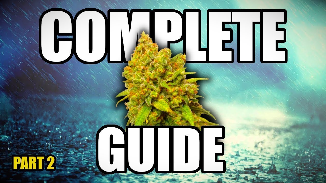 How To Grow Cannabis - Complete Guide (Part 2)