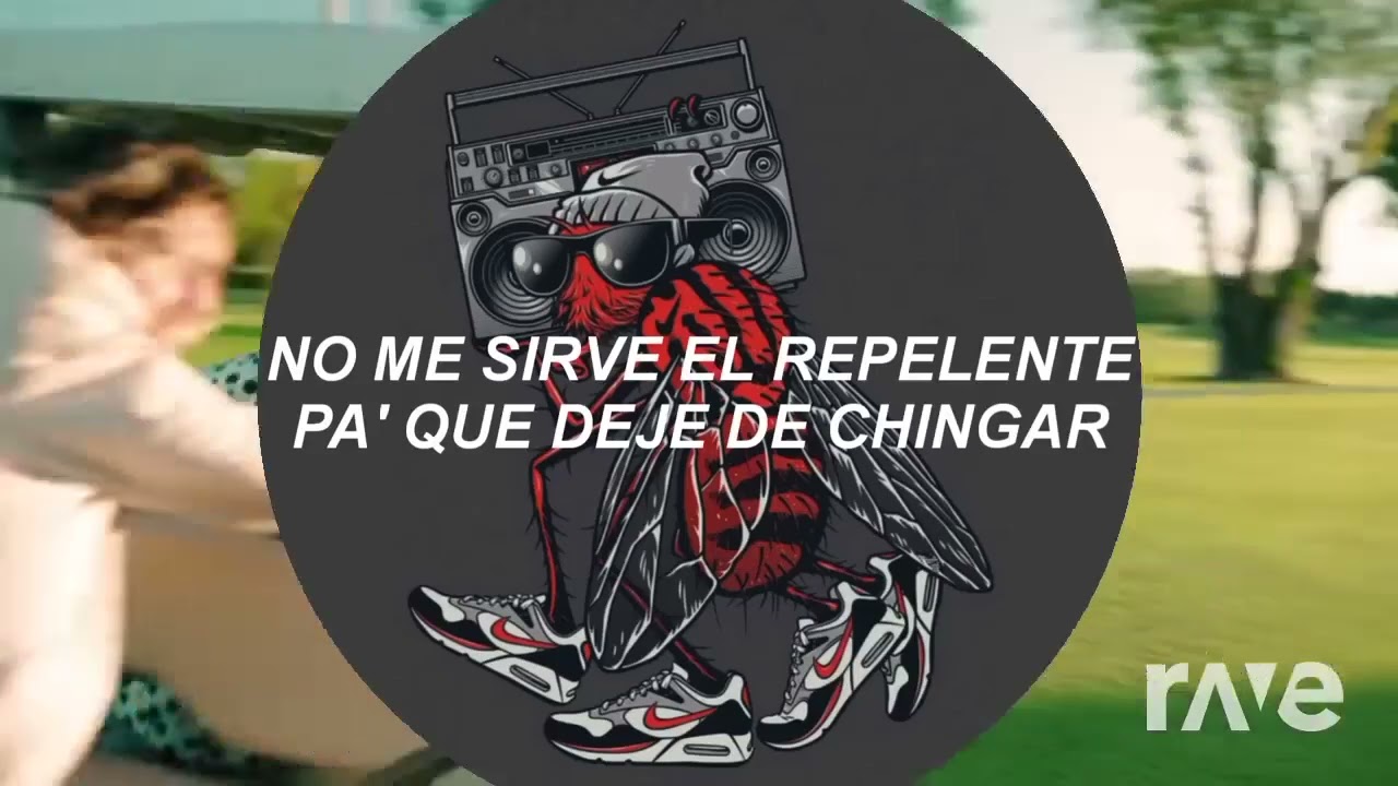 3Men2 Krbn Me Pico un Mosquito