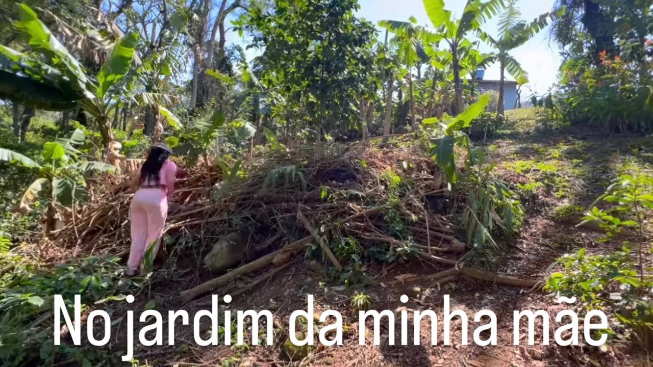ACHEI UM NINHO DE GALINHA - continuação da limpeza no jardim e passeio na praia 