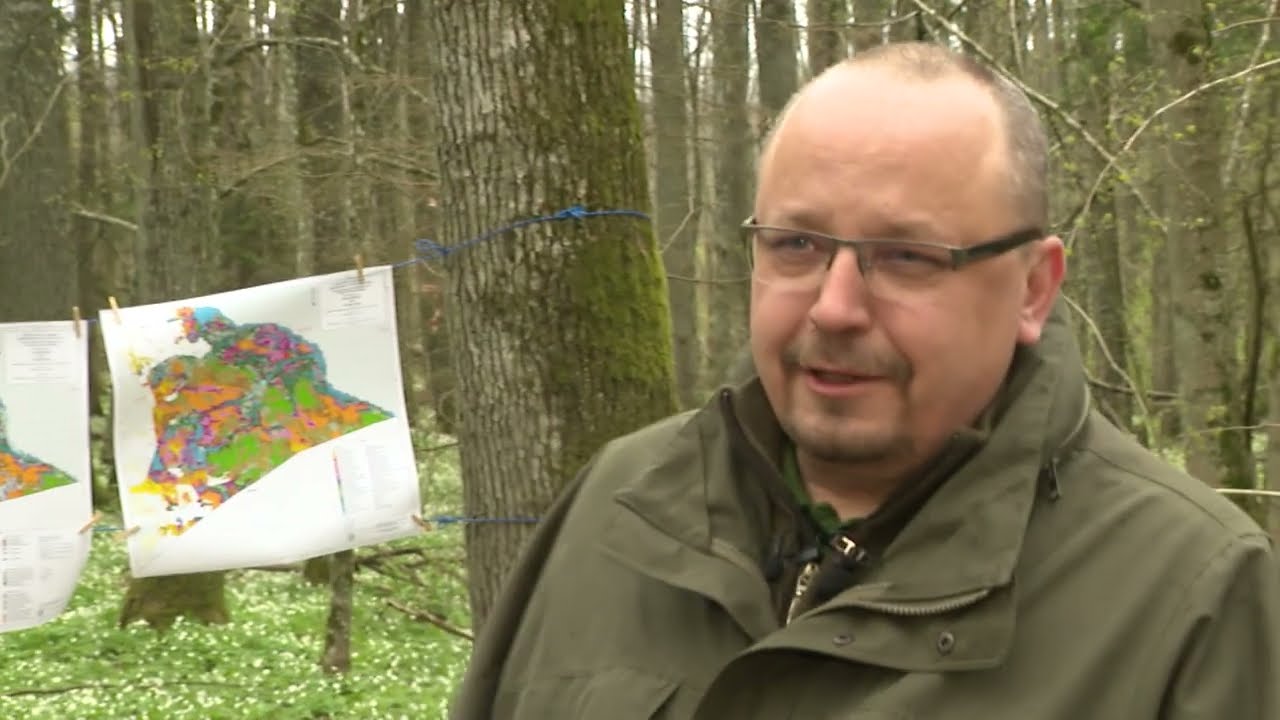 Wiadomości z lasu odc. 1. Znaczenie Planu Urządzania Lasu dla leśników.