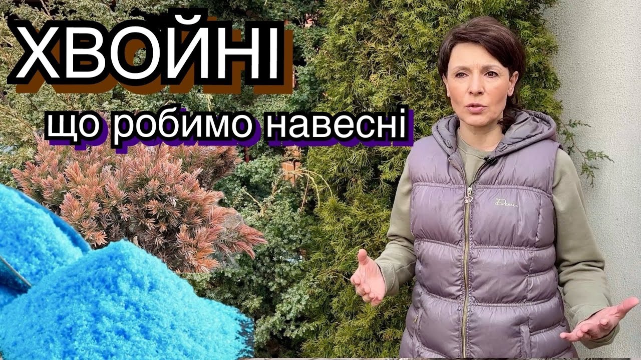 ХВОЙНІ В САДУ🌲Чим обробляю навесні? Захист від хвороб.