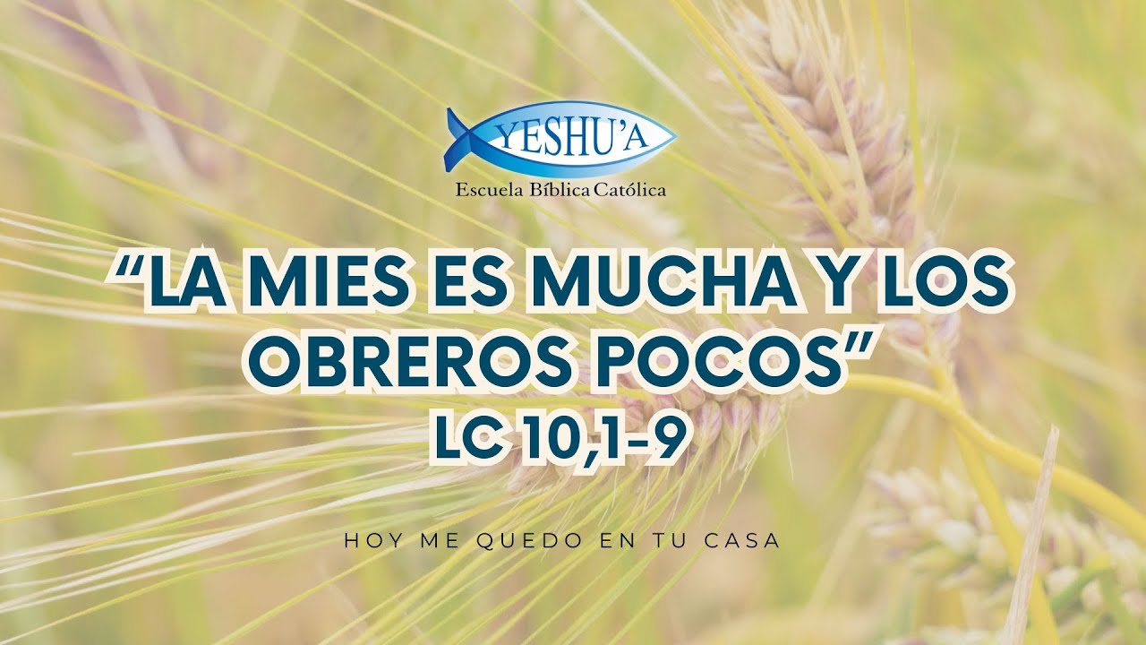 “La mies es mucha y los obreros pocos”Lc 10, 1-9 - Hoy me quedo en tu casa