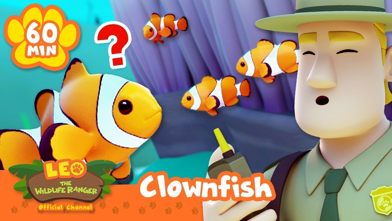 Can the Clownfish Find his Way Back Home? | Leo the Wildlife Ranger | Full Episode
