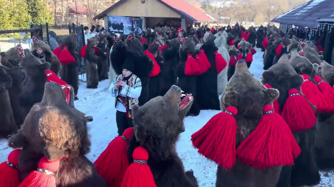 Peste 100 de Urși în Curtea lui Mișu! Agăș 2025 🐻 Mișu's Troupe: 100+ Bears Ritual #agas #viral