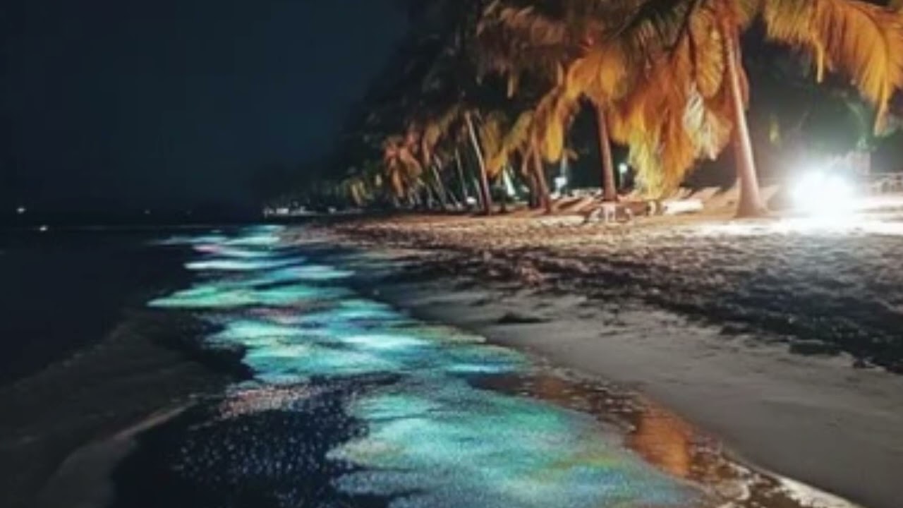 Shining Glare
