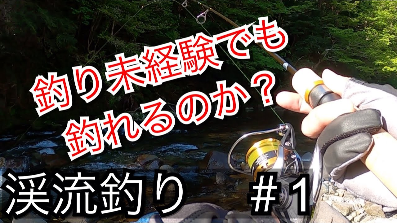 渓流釣り　【ルアー】初心者！　初実釣動画！