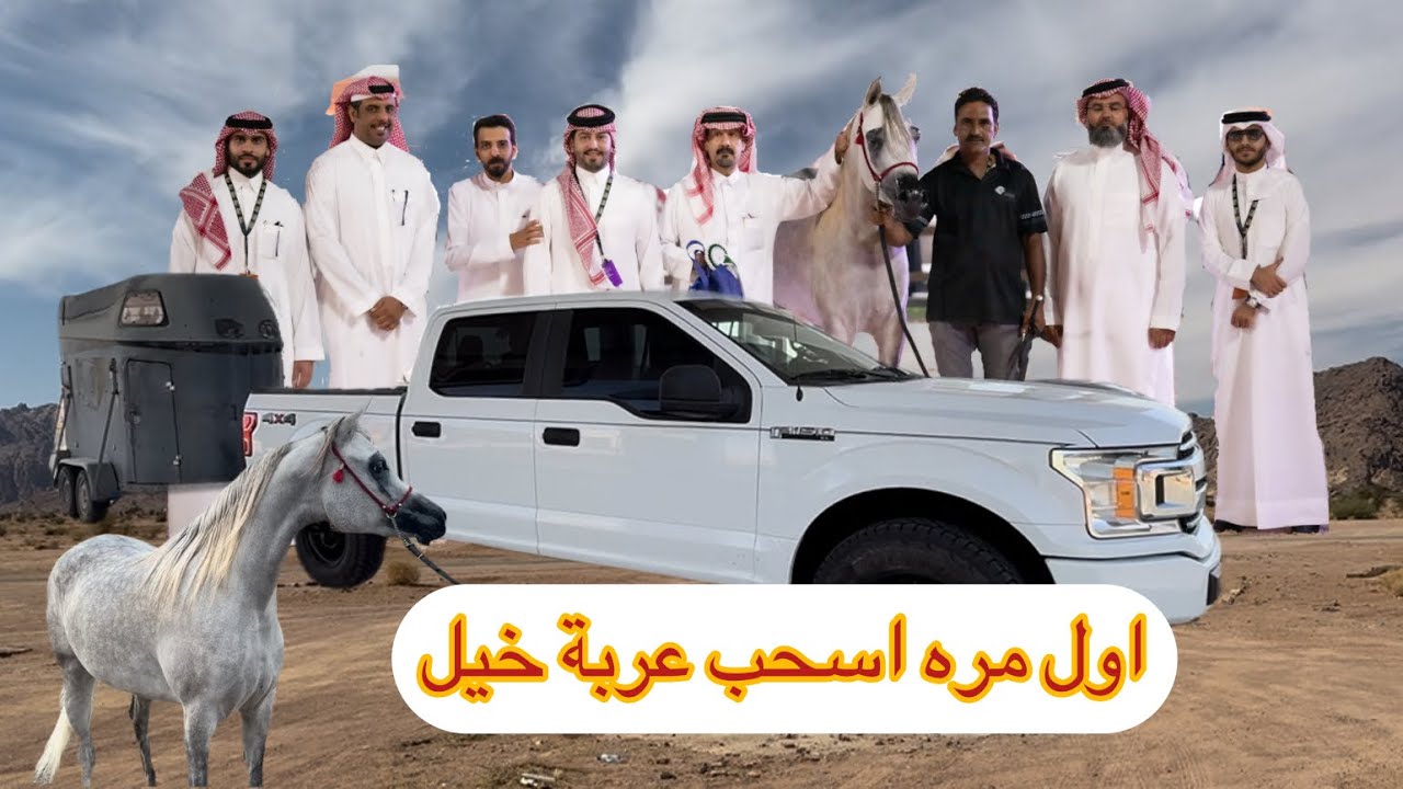 اول مره أسحب عربة خيل من الجبيل إلى حائل وحققنا مركز