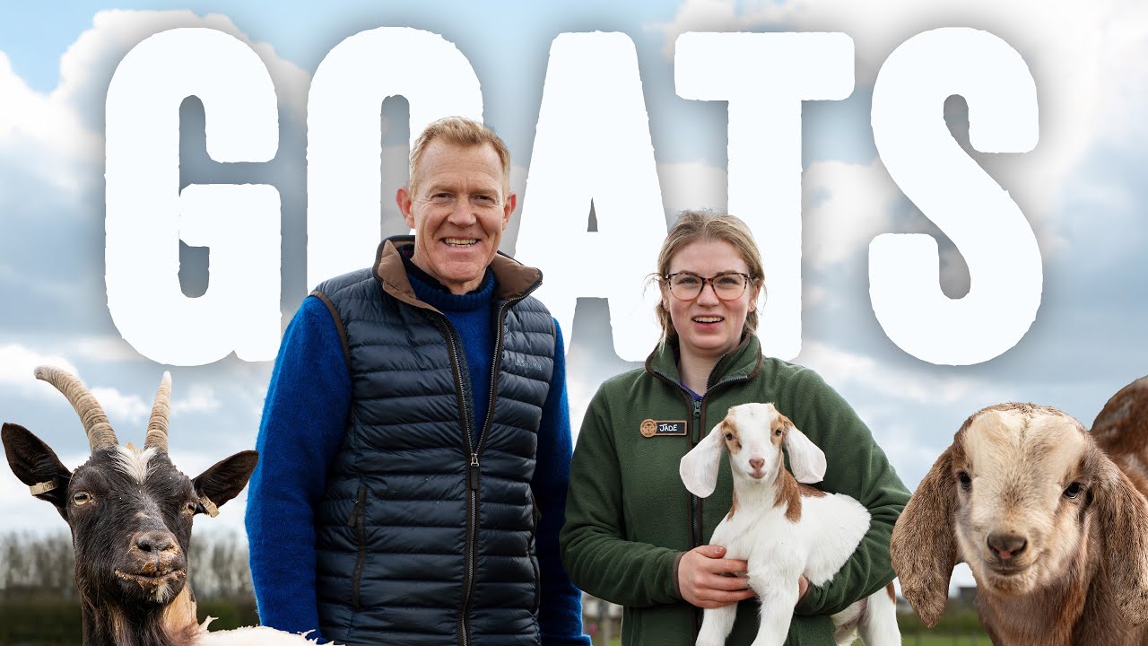 Thinking About Keeping Goats? - Adam Henson's Guide