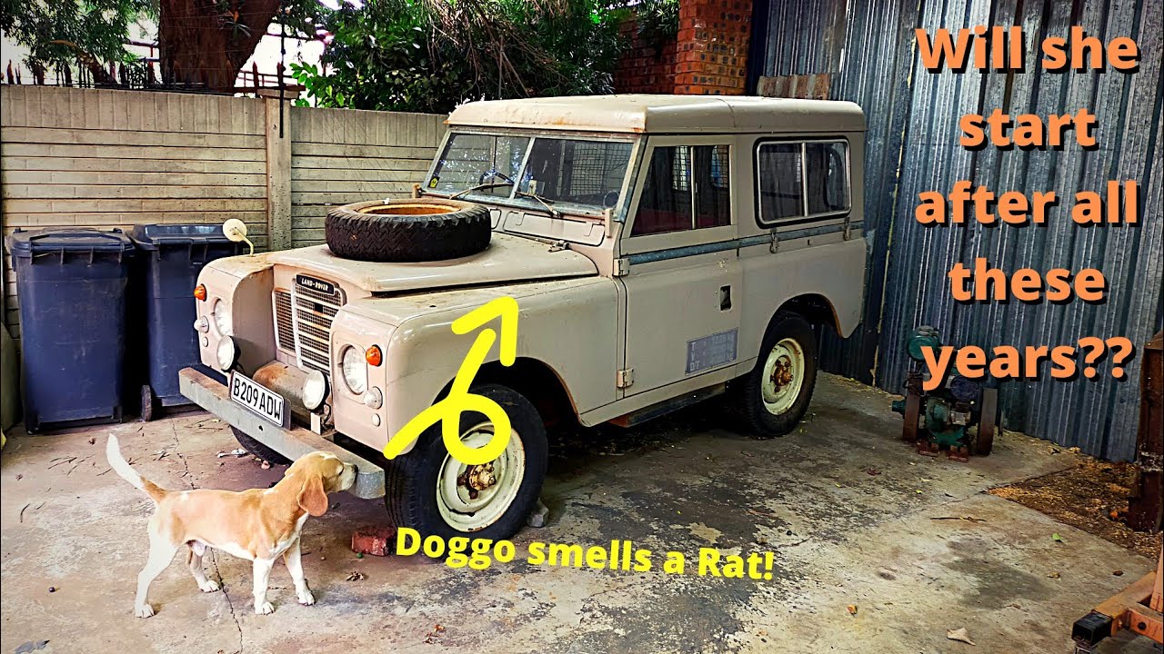 Land Rover Barn Find. First start