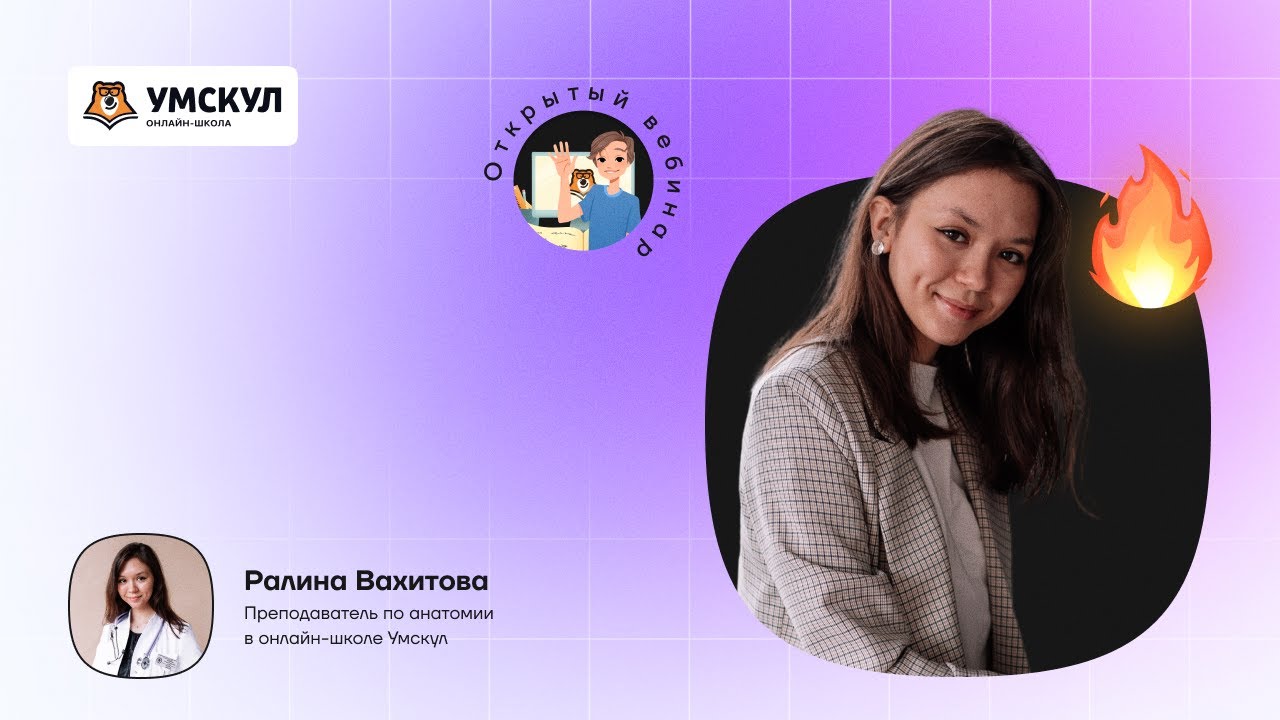 Матка: строение и кровоснабжение | Анатомия | Умскул для студентов