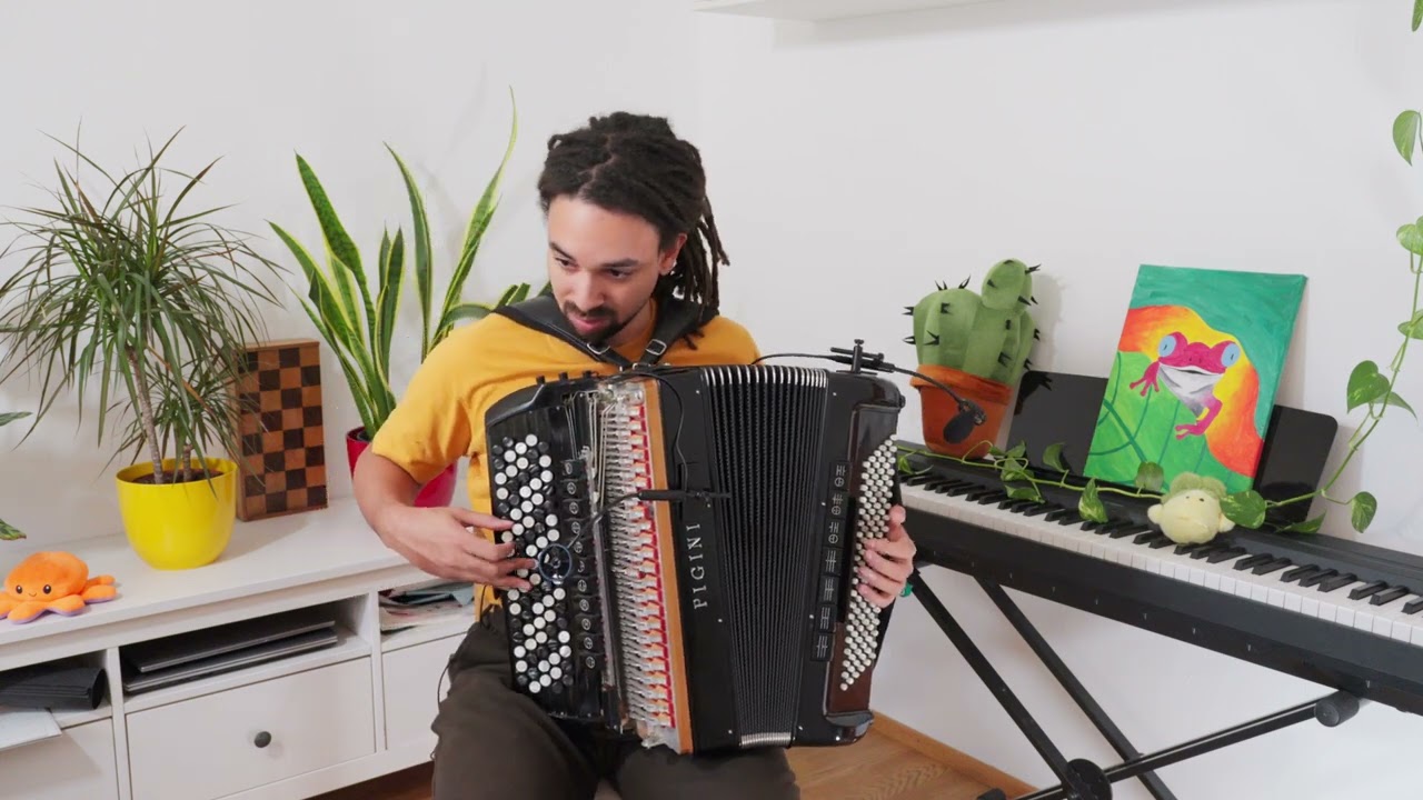 House of the rising sun (The Animals) | solo accordion cover