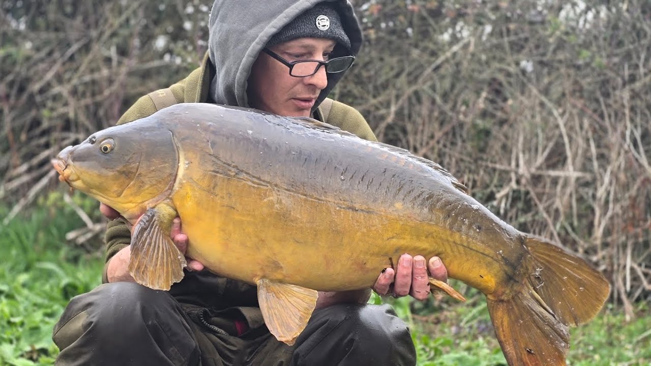 Darenth long lake sessions