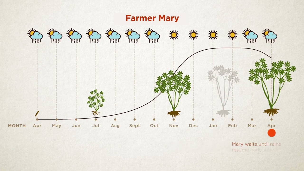 Scheduled planting & harvest 10