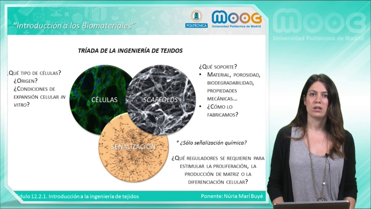 MOOC Biomateriales: 12.2.1 Introducción a la ingeniería de tejidos (I)