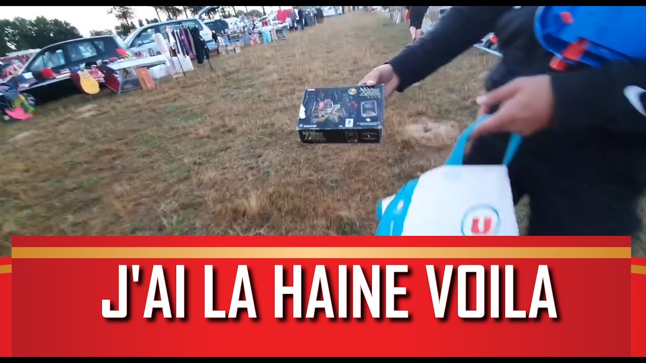 JEUX HYPER RARE GAME CUBE EN VIDE GRENIER