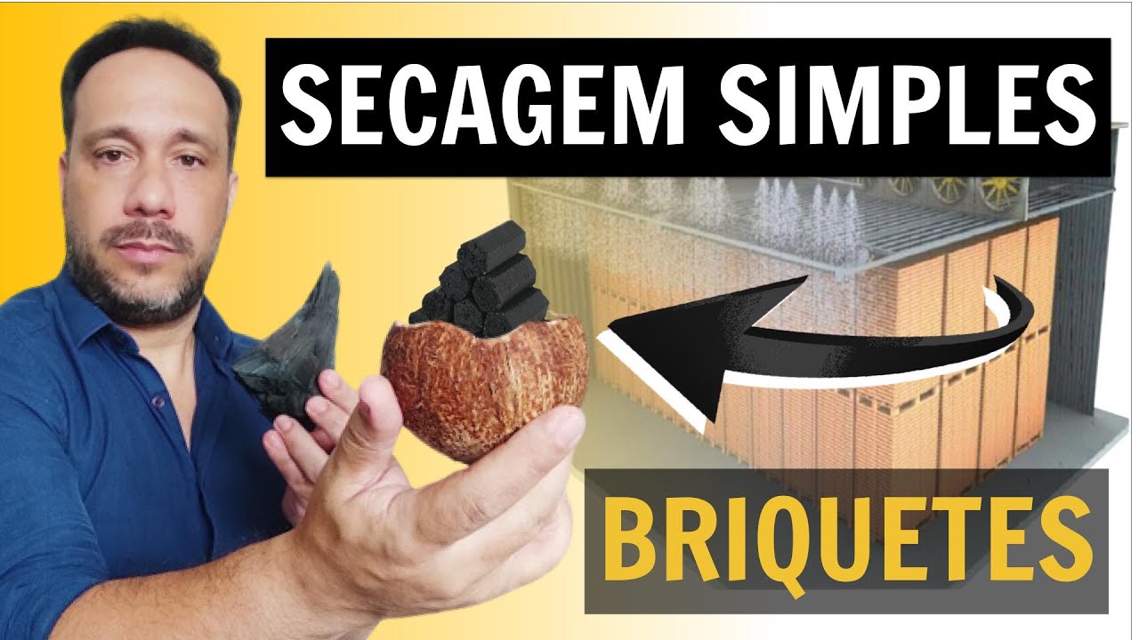 O Fim dos Problemas na Secagem de Briquete de Carvão em 06 Passos Definitivos