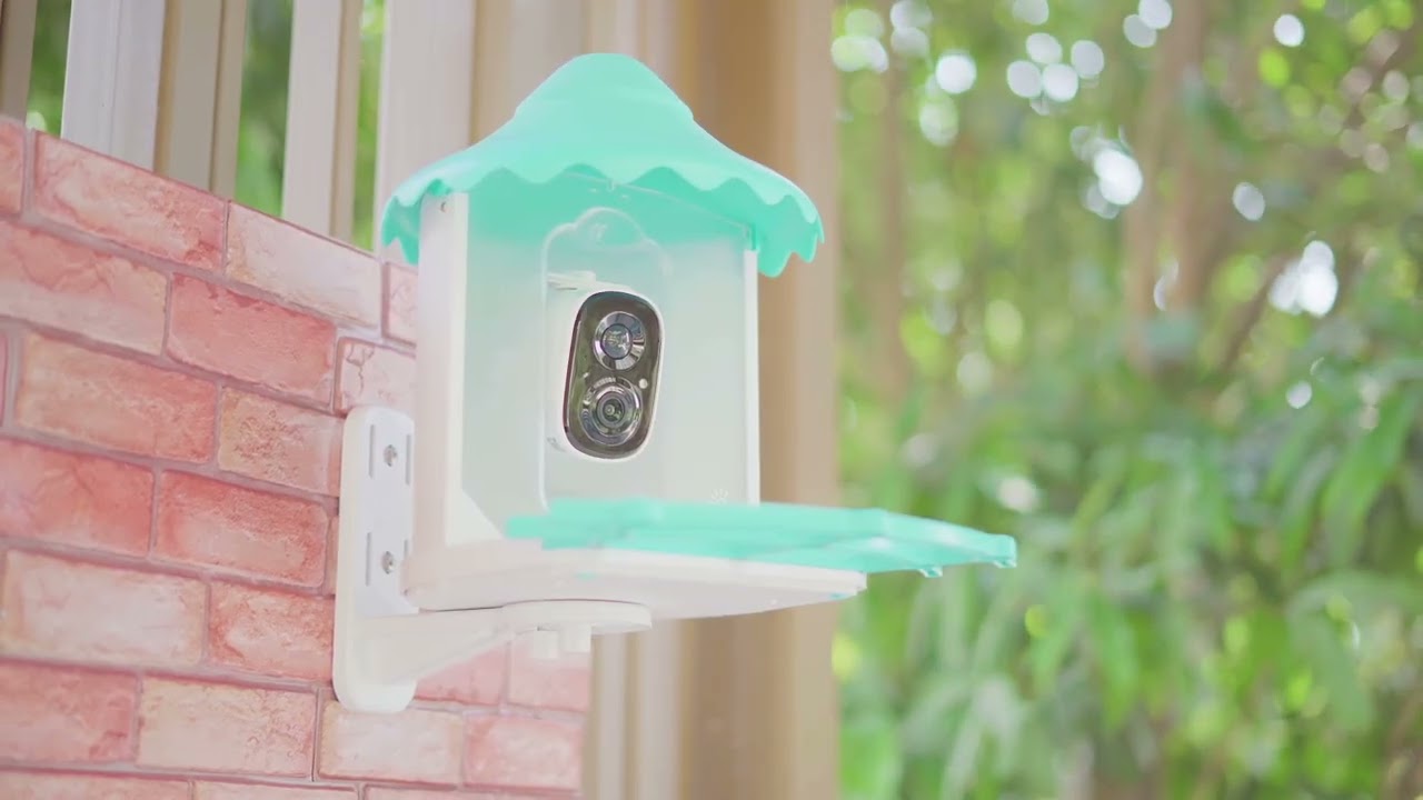 Install Your Bird Feeder the Right Way &mdash; Full Guide!