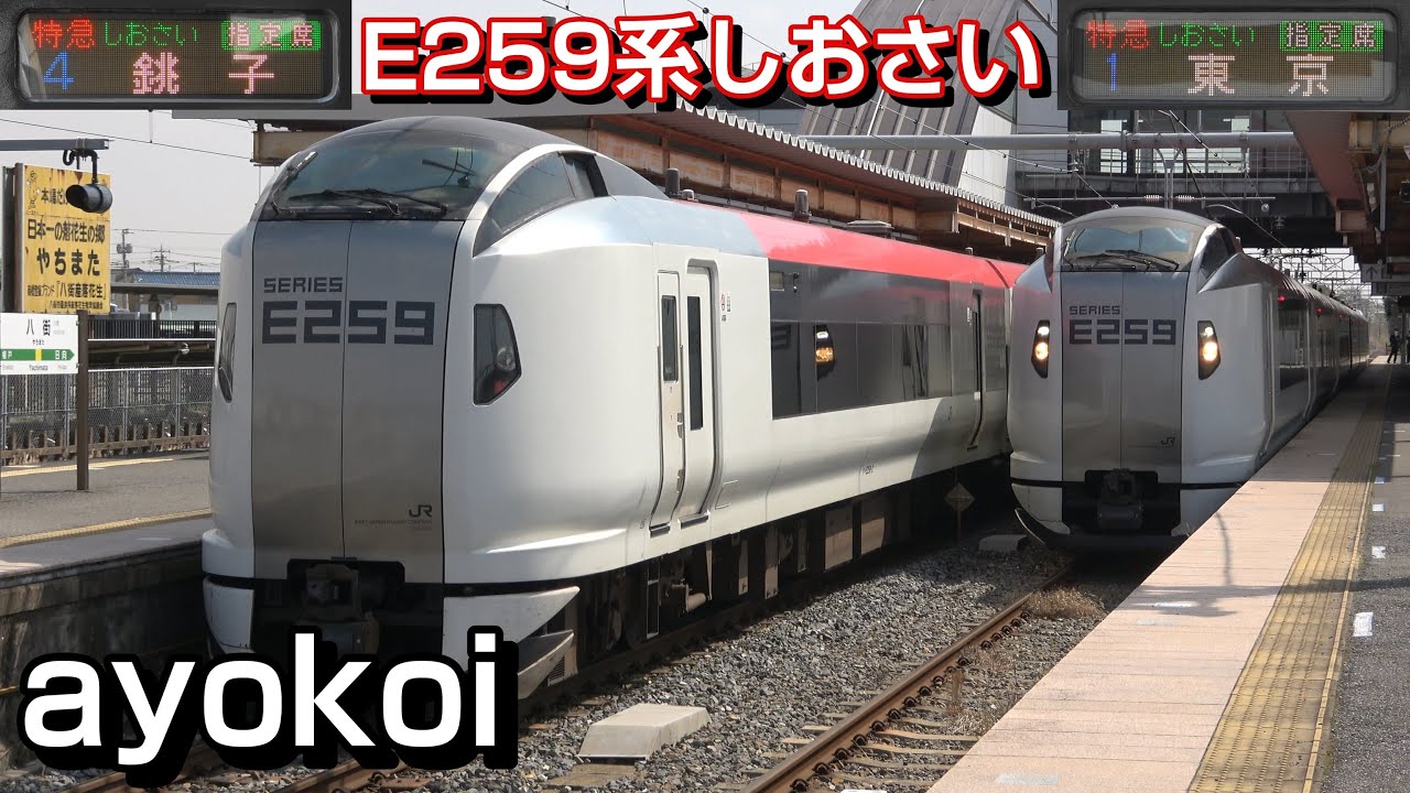 E259系特急しおさい 運行開始 3号&10号 総武本線八街駅交換