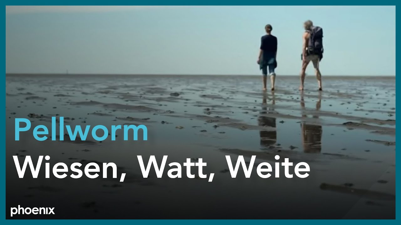 Pellworm - Wiesen Watt Weite