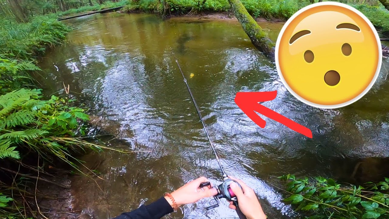 РЫБАЛКА ФОРЕЛИ НА ЛИТОВСКОЙ АМАЗОНКЕ!