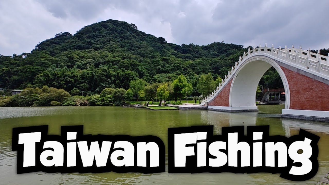 Microfishing an Urban Park in Taipei | Taiwan Fishing 🇹🇼