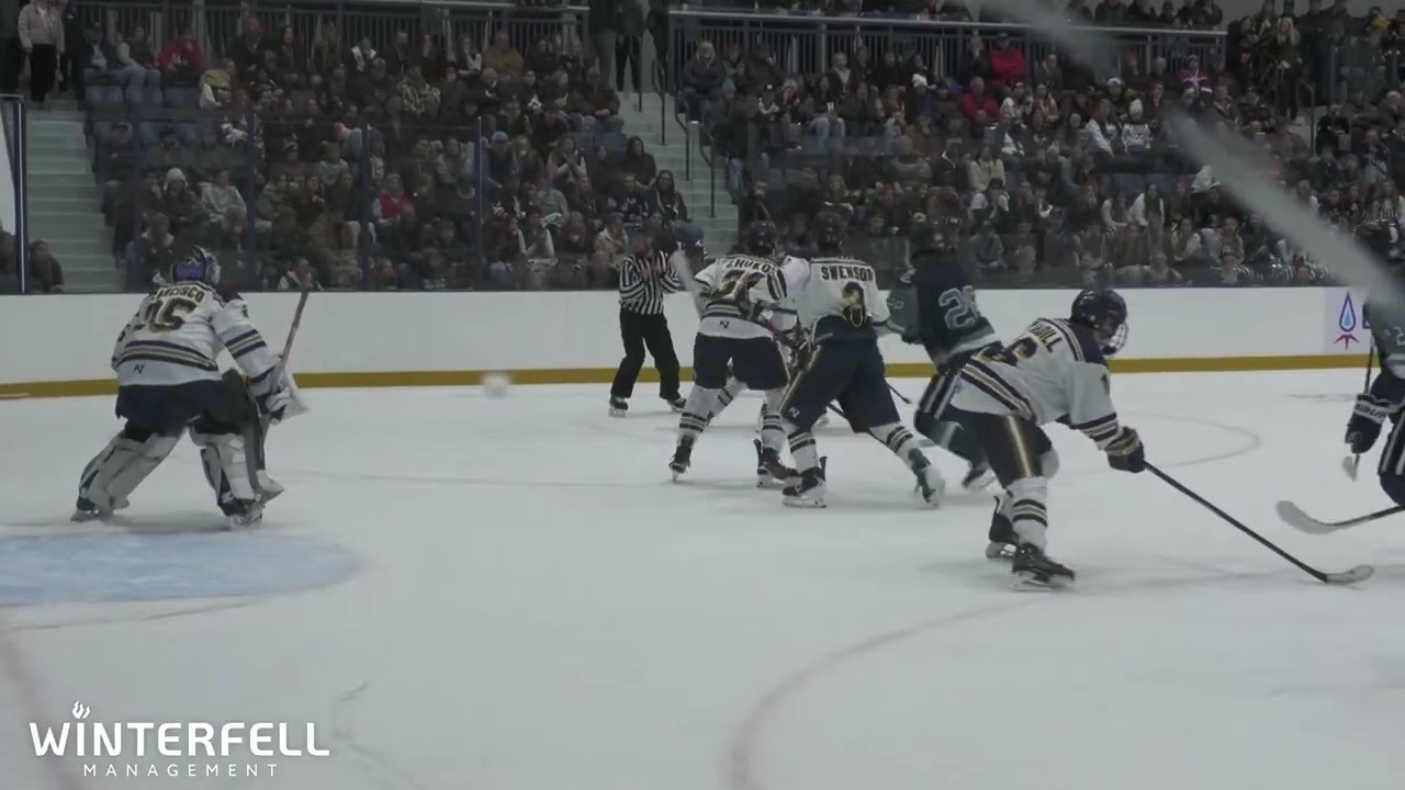 Hibbing vs Hermantown High School Hockey Highlights