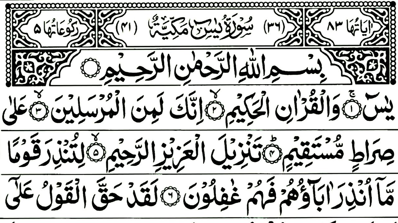 Surah Yasin | Surah Rahman | Surah Waqiah | Best Quran Morning wazifa | Full With Arabic Hd | EP_528