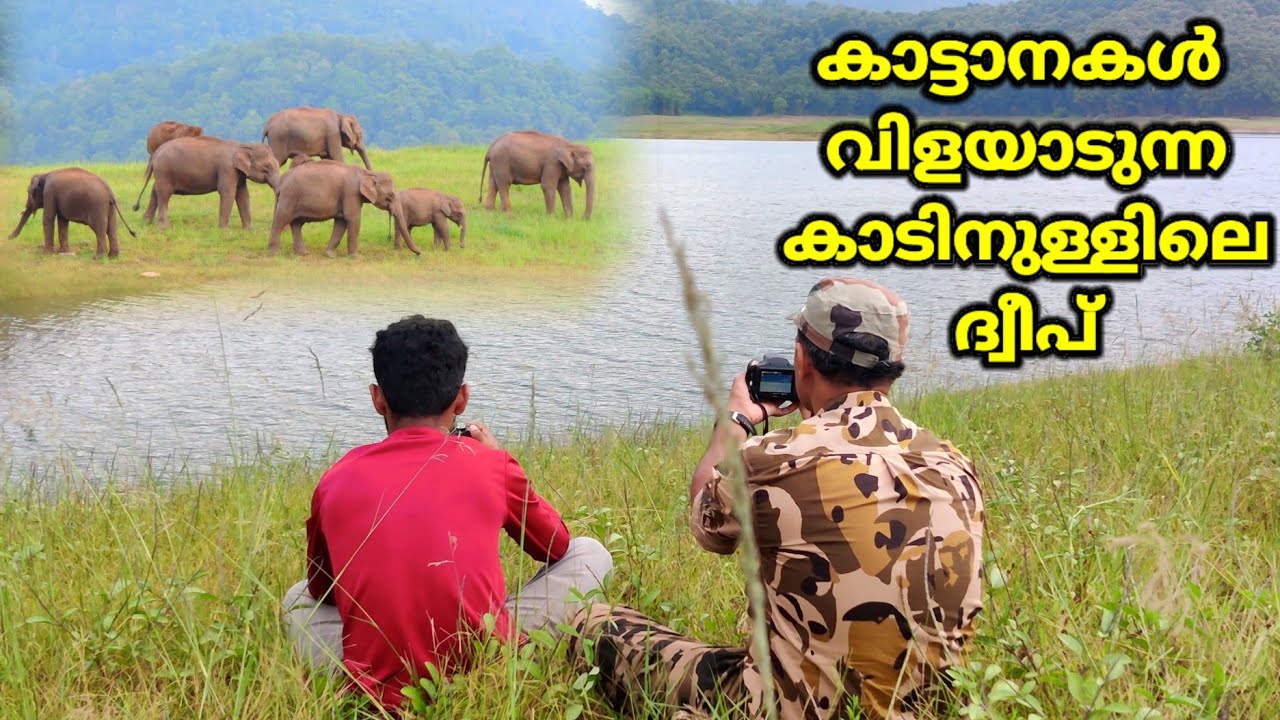 കാട്ടാനകൾ വിളയാടുന്ന കാടിനുള്ളിലെ ദ്വീപിൽ താമസിക്കാം| Parambikulam Tiger Reserve| Veettikunnu Island