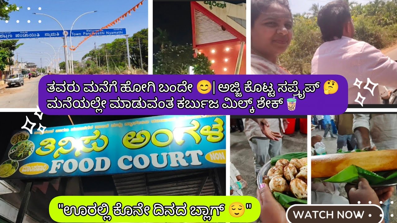 ಊರಲ್ಲಿ ಕೊನೇ ದಿನದ ಬ್ಲಾಗ್ 😌||ತವರು ಮನೆಗೆ ಹೋಗಿ ಬಂದೇ 😊|ಮನೆಯಲ್ಲೇ ಮಾಡುವಂತ ಕರ್ಬುಜ ಮಿಲ್ಕ್ ಶೇಕ್🧋#kannadavlogs 