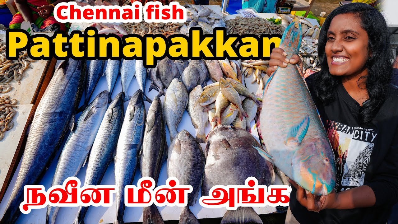 Pattinapakkam Fish Market Chennai I Tastee with Kiruthiga