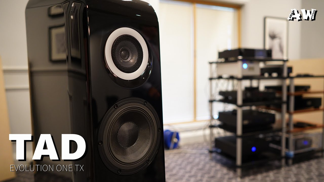 TAD Labs Evolution One TX - Floorstanding Loud Speaker