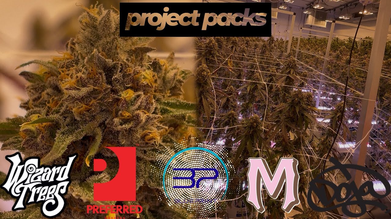 Крупнейший рост в Аризоне