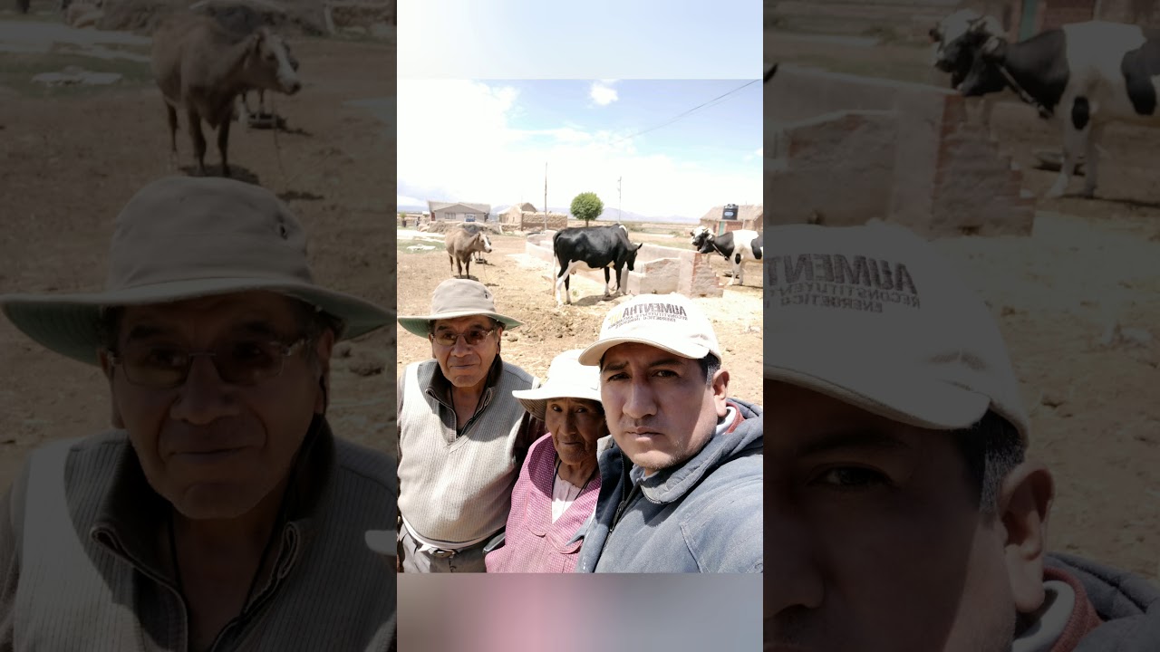 PREPARACI&Oacute;N DE ALIMENTO BALANCEADO PARA VACAS LECHERAS